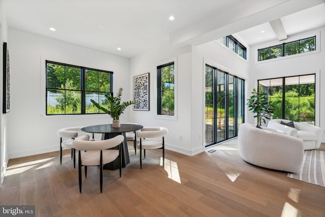 dining area with light hardwood / wood-style floors