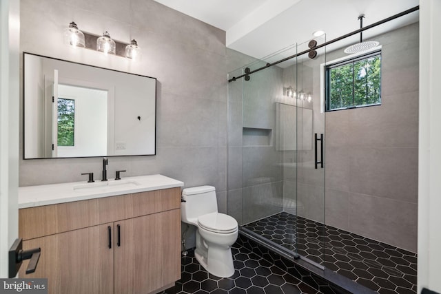 bathroom featuring vanity, toilet, walk in shower, and a healthy amount of sunlight