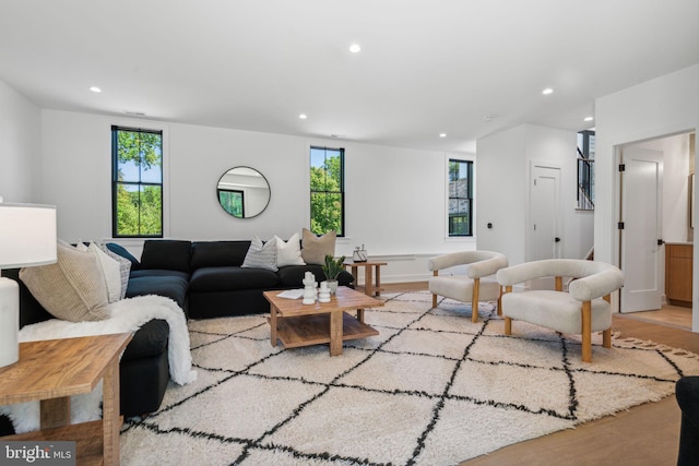 living room with light wood-type flooring