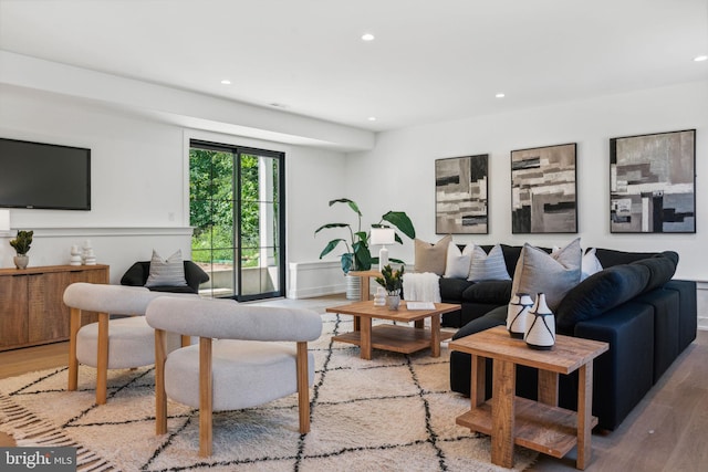 living room featuring wood-type flooring