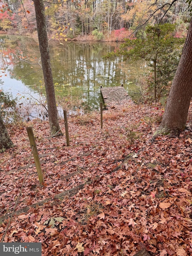 view of nature with a water view