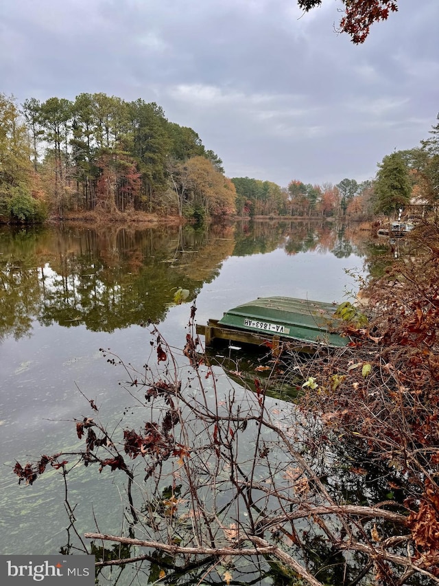 dock area with a water view