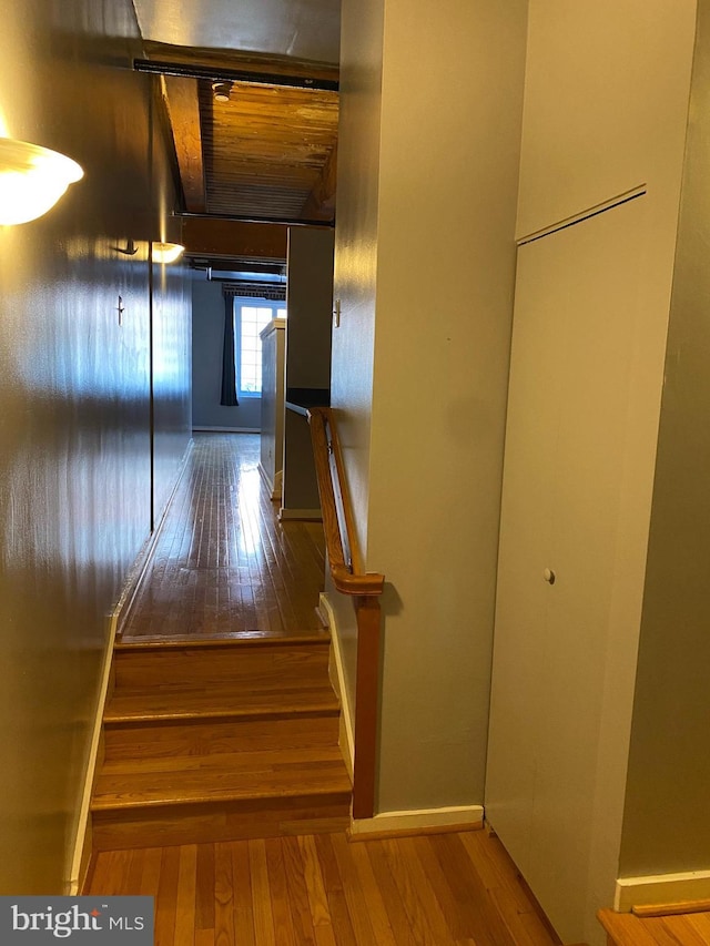 staircase with wooden ceiling and wood-type flooring