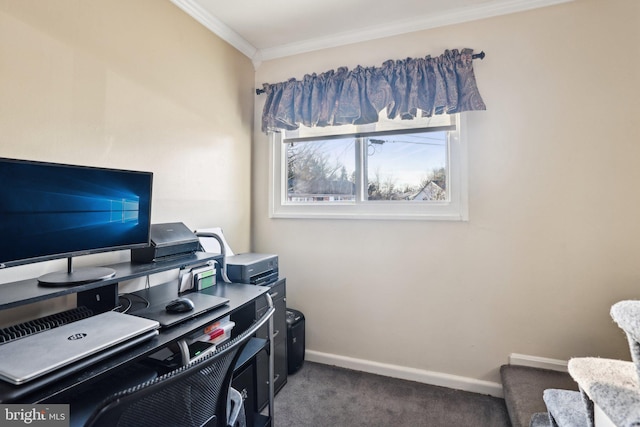 carpeted office featuring crown molding