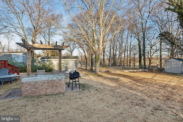 view of yard featuring a storage shed