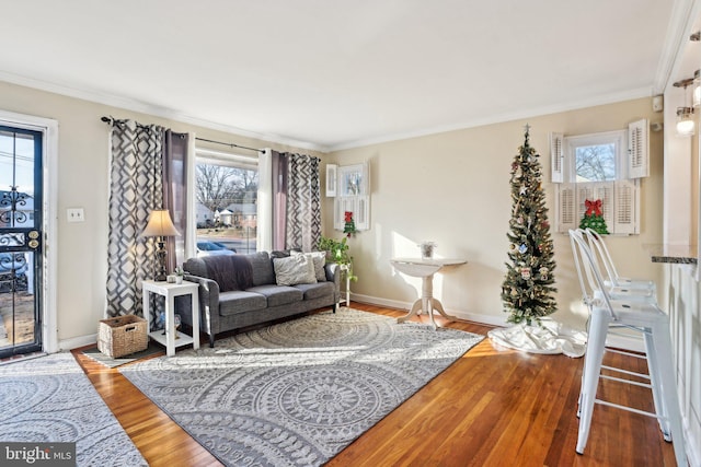 living room with crown molding and hardwood / wood-style floors