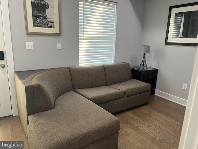 living room with hardwood / wood-style floors