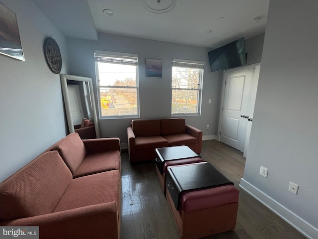 living room with dark wood-type flooring