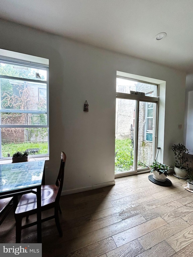 dining space featuring hardwood / wood-style flooring