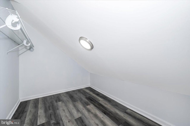 walk in closet featuring vaulted ceiling and dark wood-type flooring