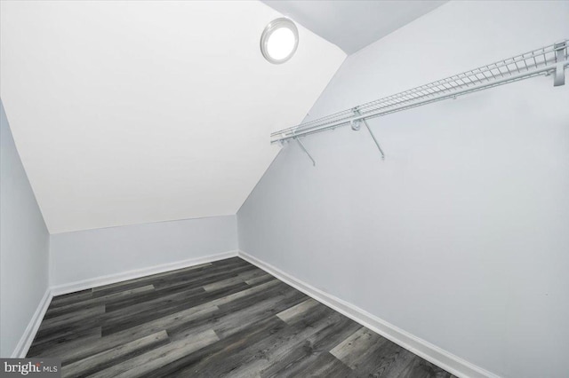 walk in closet featuring dark wood-type flooring