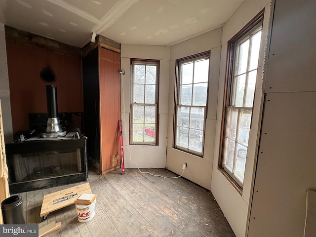 entryway featuring wood-type flooring