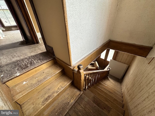 stairway with wood-type flooring