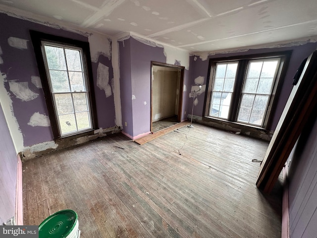 interior space with hardwood / wood-style flooring and a wealth of natural light