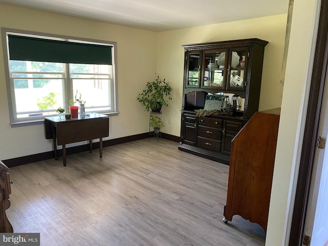 interior space with light hardwood / wood-style floors