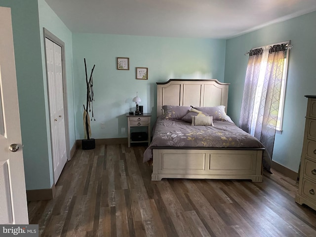 bedroom with dark hardwood / wood-style floors and a closet