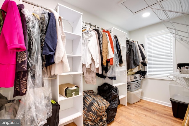 spacious closet with hardwood / wood-style floors