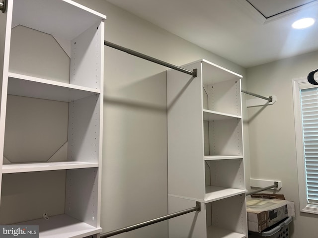 view of spacious closet