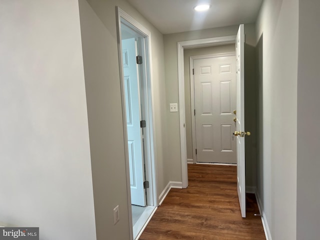 hall featuring dark hardwood / wood-style flooring