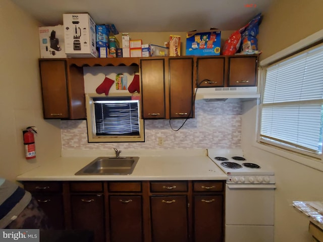 kitchen featuring backsplash, white electric range oven, dark brown cabinetry, and sink