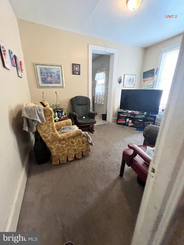 living room featuring carpet floors