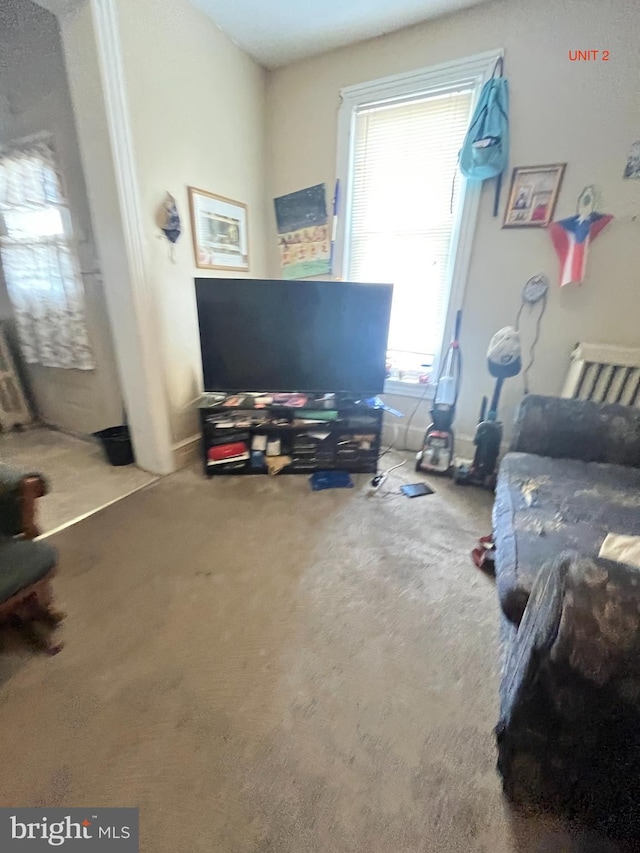 living room with carpet floors