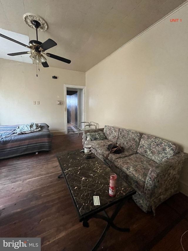 living room featuring ceiling fan and dark hardwood / wood-style floors