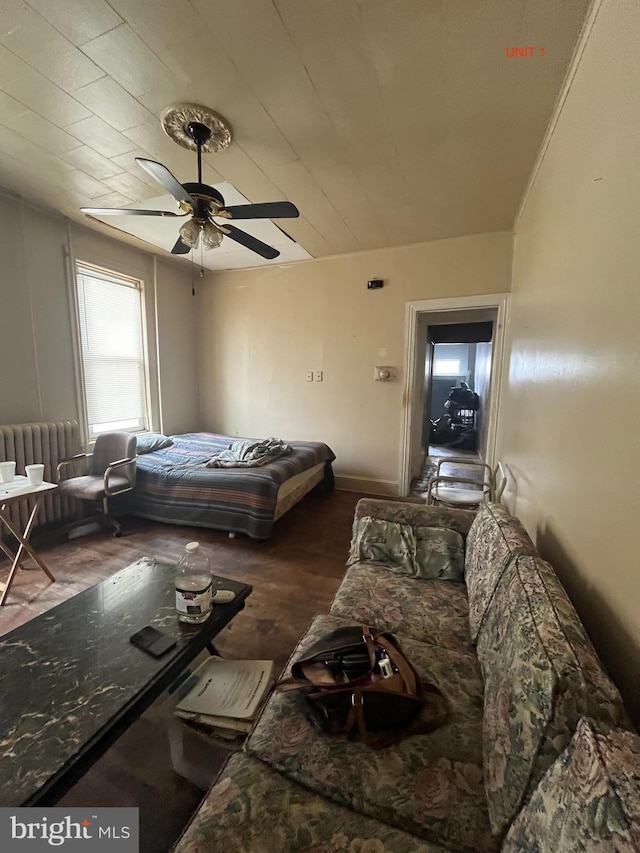 bedroom with ceiling fan, radiator heating unit, and dark wood-type flooring