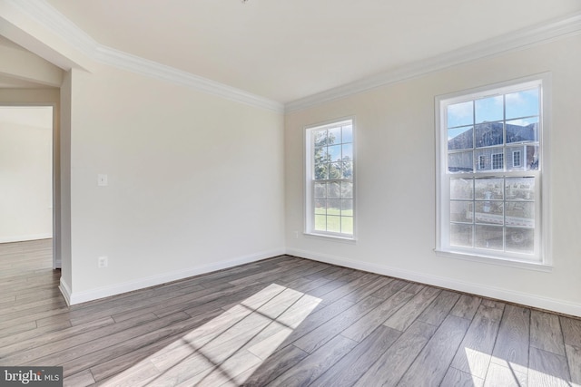 spare room with crown molding and light wood-type flooring