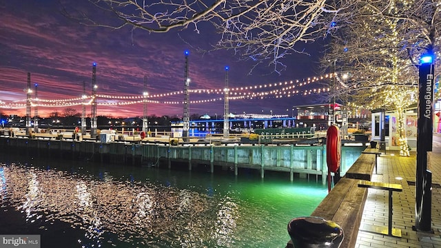 dock area featuring a water view