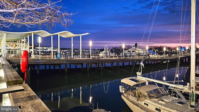 dock area with a water view