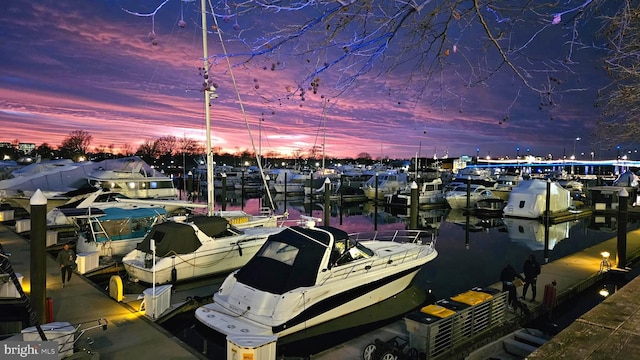 view of dock featuring a water view