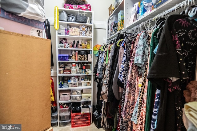 view of walk in closet