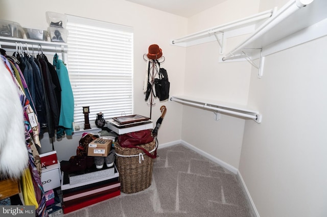 spacious closet with carpet flooring