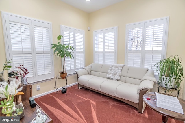 carpeted living room with plenty of natural light