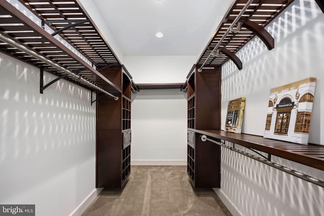 spacious closet with carpet floors