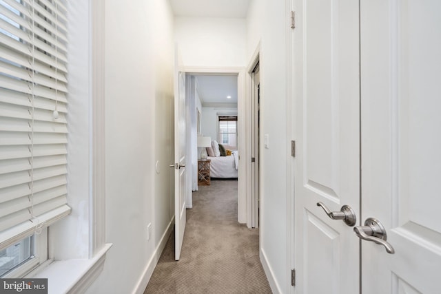 corridor featuring light colored carpet