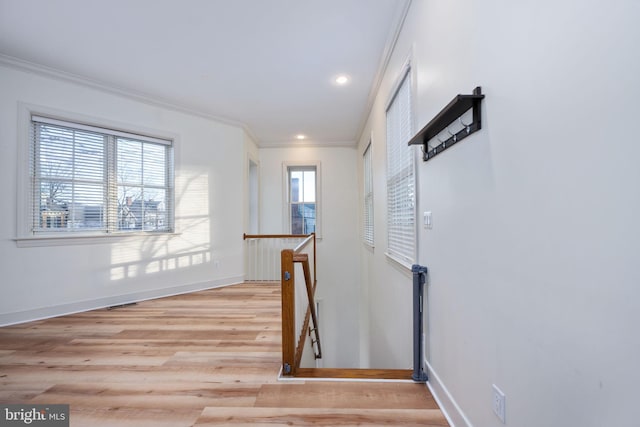 hall with light hardwood / wood-style floors and crown molding