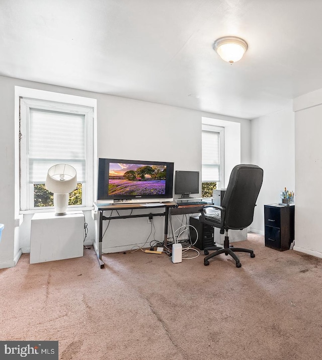 carpeted office space with a healthy amount of sunlight