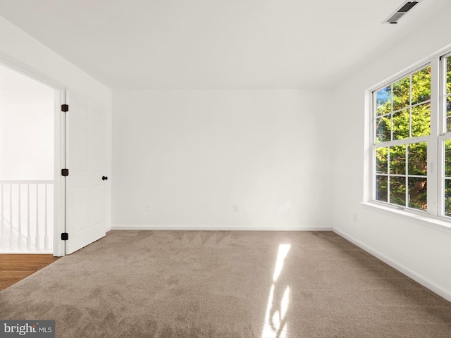 spare room featuring carpet flooring and a wealth of natural light