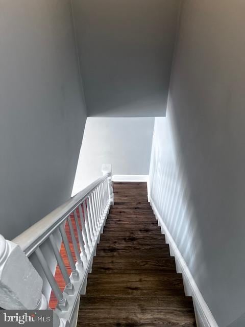 stairway featuring wood-type flooring