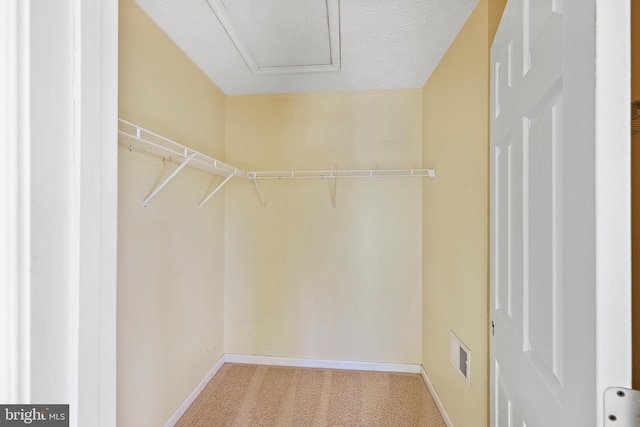 walk in closet with light carpet