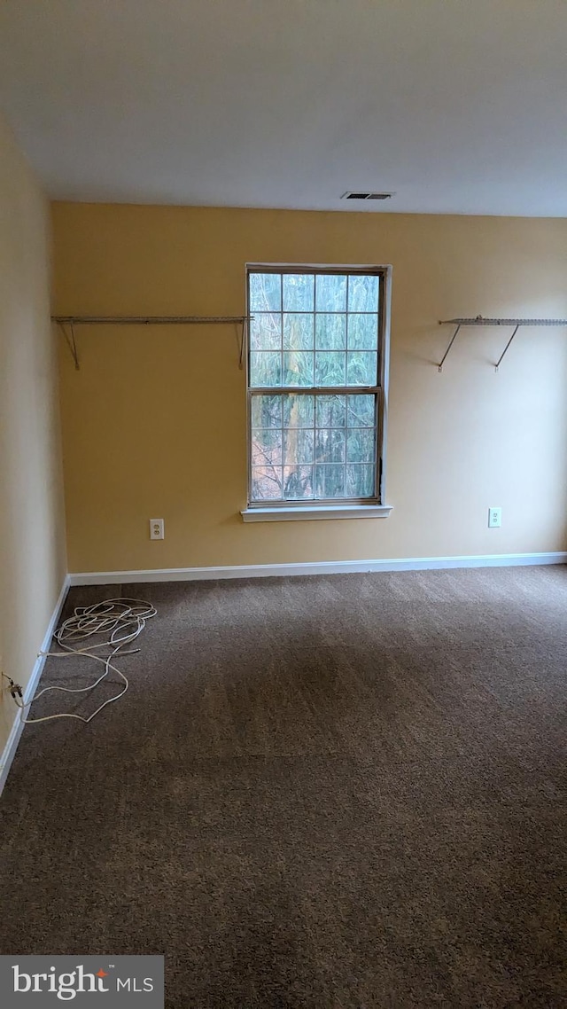 spare room featuring carpet floors