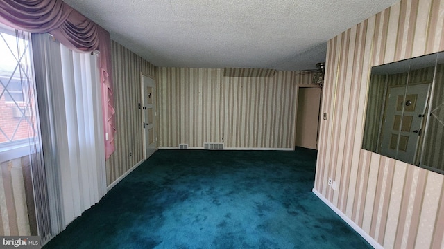 carpeted spare room featuring a healthy amount of sunlight and a textured ceiling