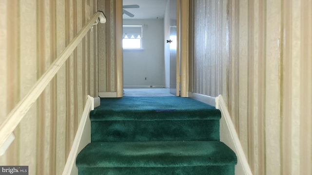 stairs with carpet