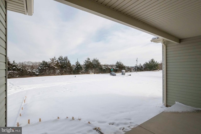 view of yard layered in snow