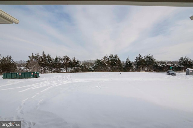 view of yard layered in snow