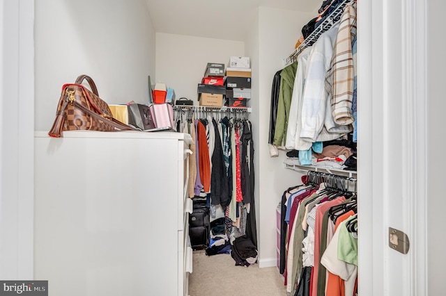 walk in closet featuring carpet flooring