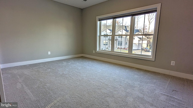 spare room with carpet flooring