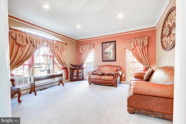 living room featuring carpet and crown molding